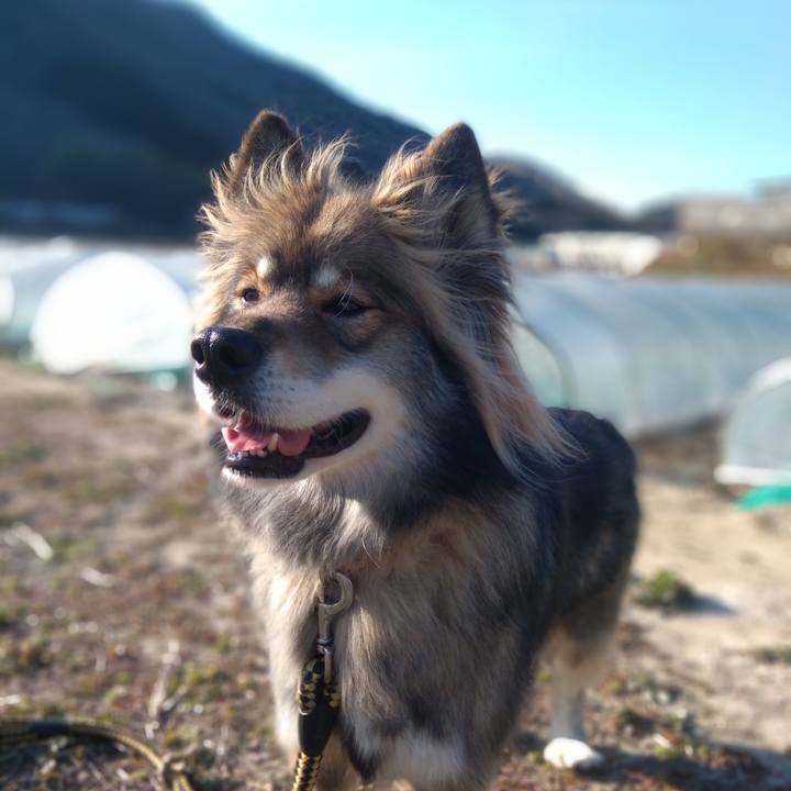 B2b2aa62 bdfc 4e24 a925 b4a3daea89c8 1581418227848