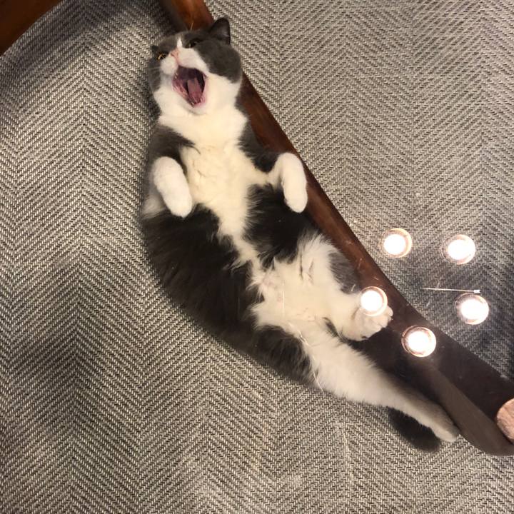 B2b2b5fa 041f 41be b51a e02827afa809 1553904213824