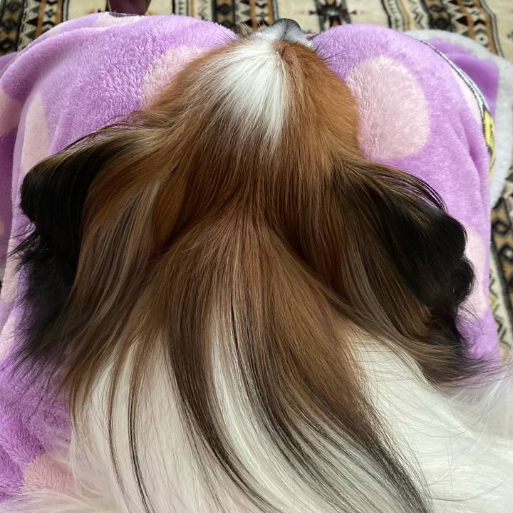 B2b30bf8 3c3b 4794 a4f4 23e9f3bf96f8 1634699445350