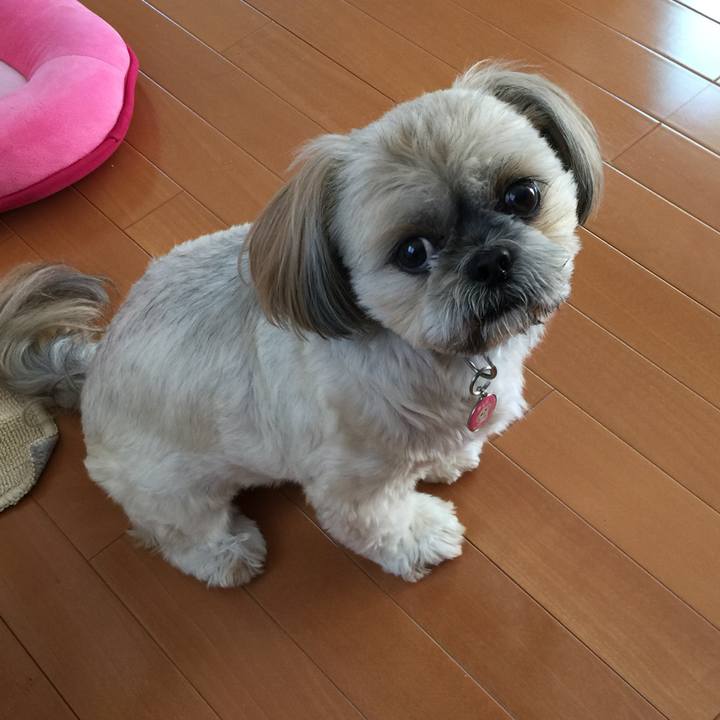 B2b30fef 74c4 437f af58 f5740b1f8d70 1509676915716