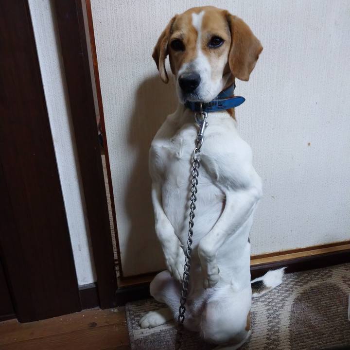 B2b318fa 78a2 4df8 90fd 08ebbbc302bf 1613551691535