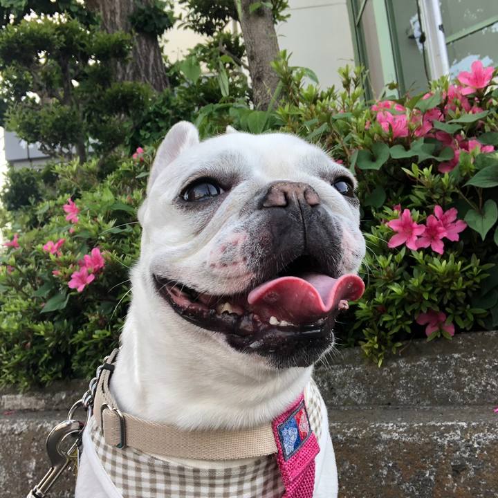 B2b31acb a5ad 4986 a76a 87f6ade92f54 1558227843208