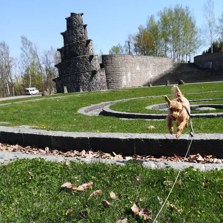 B2b33405 3c3e 4e55 a927 019b2248fd2e 1557023869935