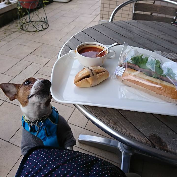 B2b3746c 2922 4d4e 8905 85ed2f490372 1580787885365