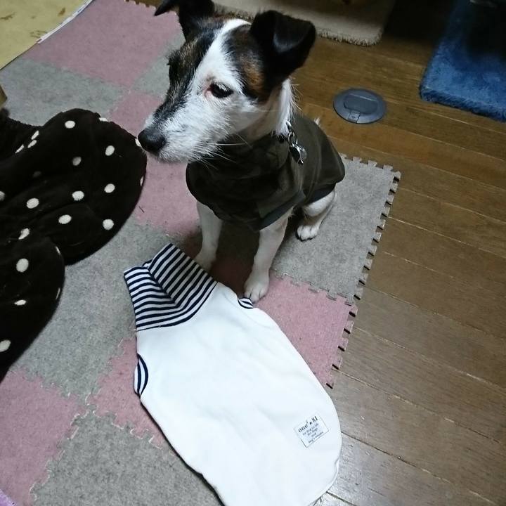 B2b392f5 7c8c 496e a3a2 cf83025f2ff2 1512823465321