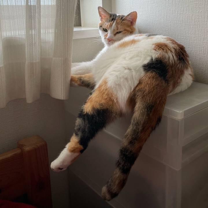 B2b3a947 e1ce 4dde b25b 71d810b1f04d 1657237009702