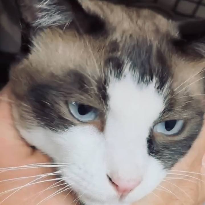 B2b3ab2b 781d 4898 8521 744e47e3bc64 1755779947092