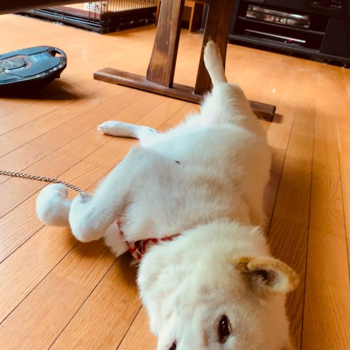 B2b3c4ff 1f0f 4bf4 a3d2 982b1b093d16 1562187481235