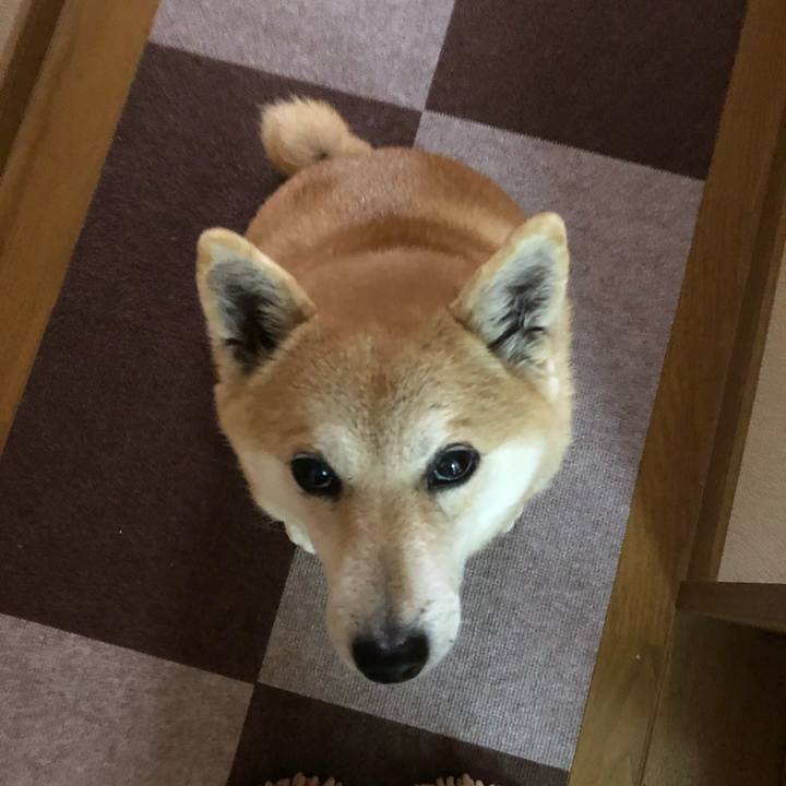 B2b44724 ef82 4cc0 8685 9f78347da769 1549532388171