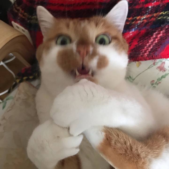 B2b45965 c8f8 44e0 99b1 dff2cfe105d7 1553738240011