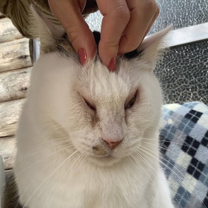 B2b482ff 6294 46f7 af22 152f4f895075 1578194094456