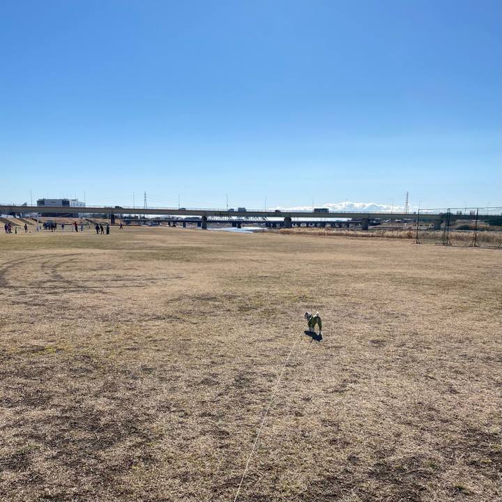 B2b485dc f33b 4944 8b20 37ec08fa4cae 1611997101107