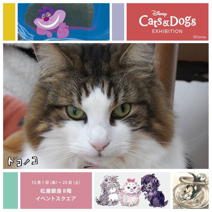 B2b48882 c4ca 4662 a4bd 5c2591af6682 1639619613911