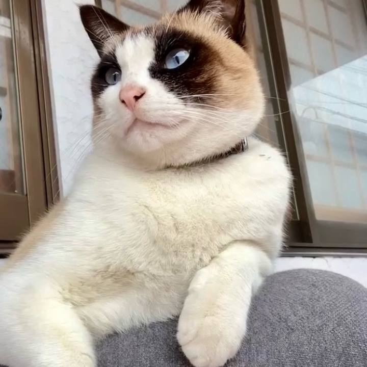 B2b4c65c 0429 4188 956f b722f5f648ef 1740880626426