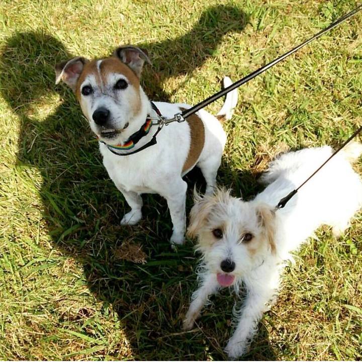 B2b5156c e0e5 482c 880e f94971b47ab5 1762214811893