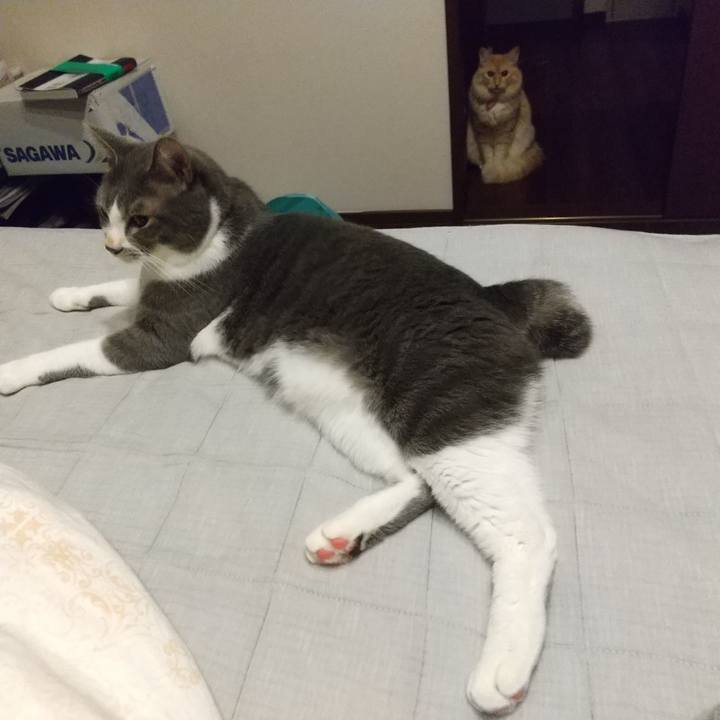 B2b51dae 4f8c 428b 9913 ef39a23f1647 1633610238199