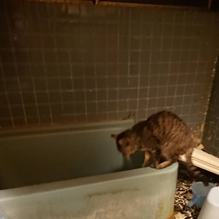 B2b531f7 09c7 4cd1 81b9 b0c21e9197be 1573808838474