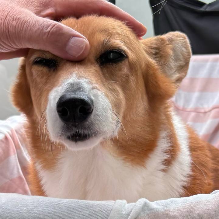 B2b56ad1 20a2 4d13 8c3f 7baecb5a916c 1748161900429