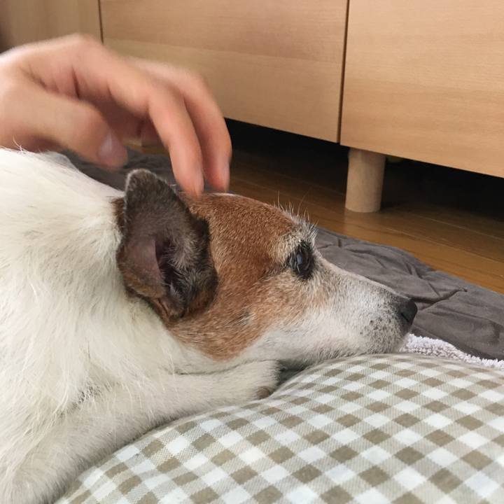 B2b56fd4 e3c4 46f3 a1a4 99f86e017fa7 1661648428157