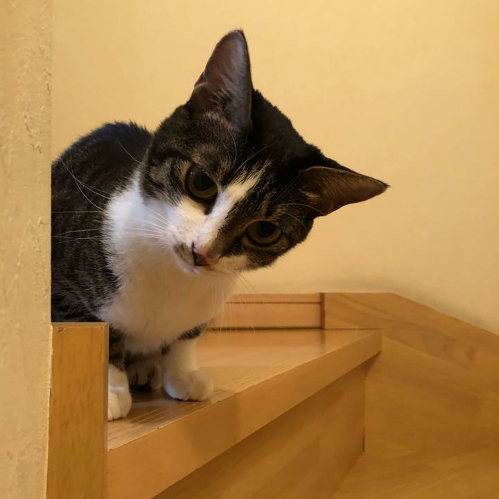 B2b5f41d f599 4b82 9846 196f5f1c18a0 1573872547155