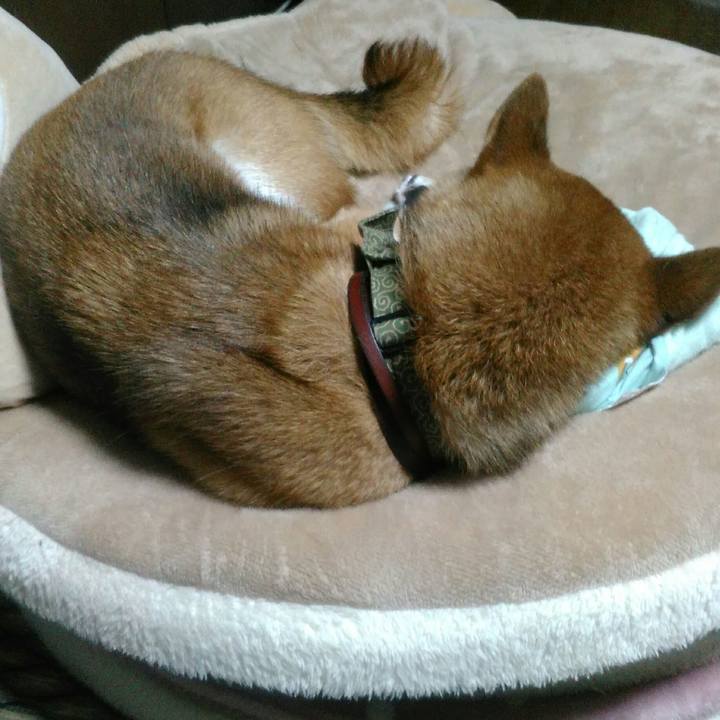 B2b5fbc7 eb5b 421f 9343 3c411f301255 1533822045135