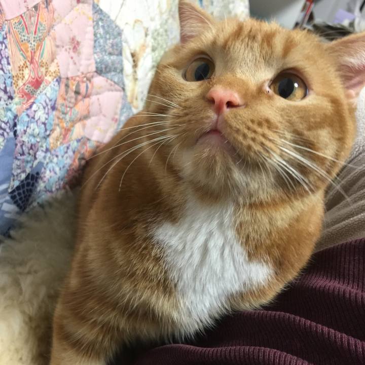 B2b6056d 50f6 4c10 821e cf6dbd22fa8c 1512000183386