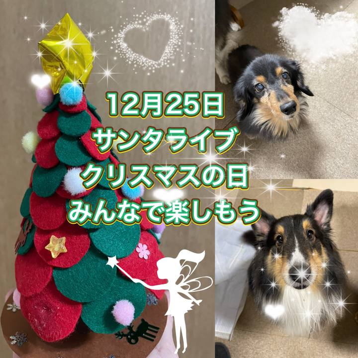 B2b6255f 4c67 45c6 9742 586ee6611928 1671354467730