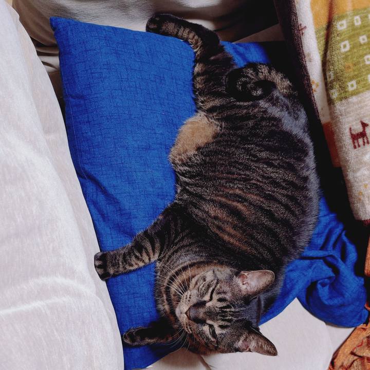 B2b63fb7 19c2 4620 b1f8 a164e7794e15 1775052285735