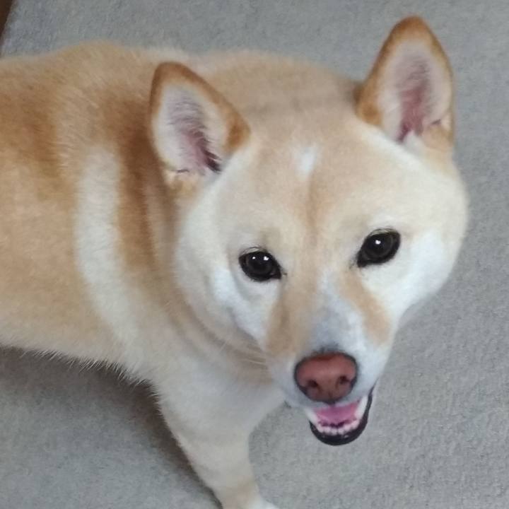 B2b642cb 7498 44ac 89e0 f46cc2b97433 1595283619314