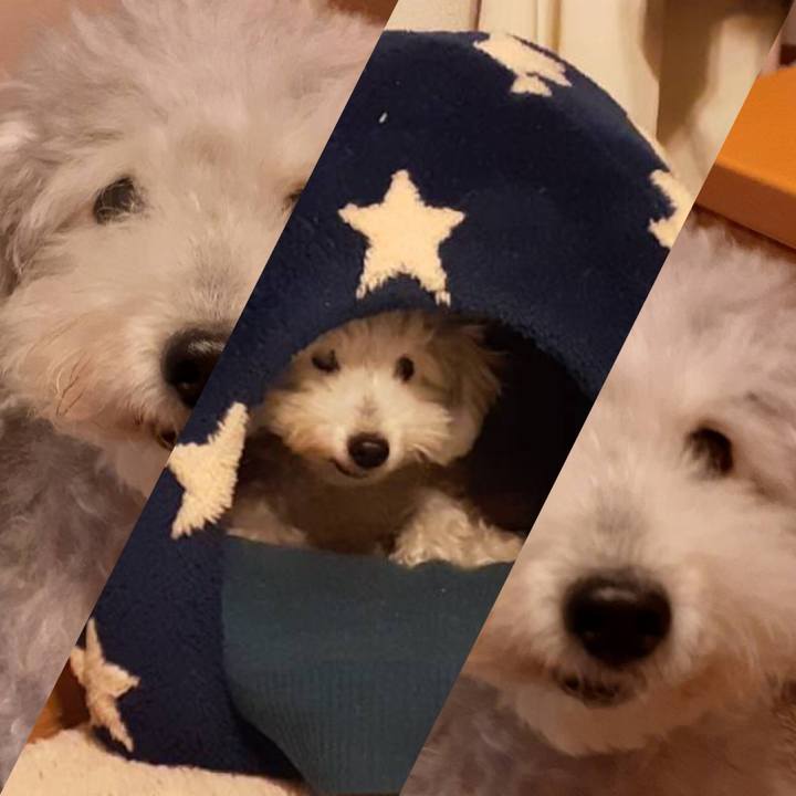 B2b647ab 23d3 44b8 877c 6d0905cdc893 1638004048005