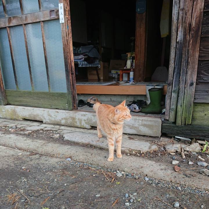 B2b64f27 95c5 4e8e b695 021d6bbf72ae 1658093226336