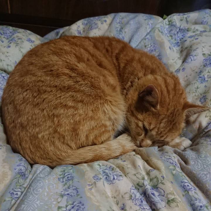 B2b7013e 4510 44a2 9581 77cb25288390 1582718158716