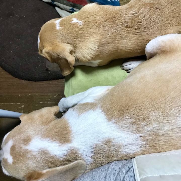 B2b71ea1 7784 4324 a1ab 65a8230bd860 1550411084302