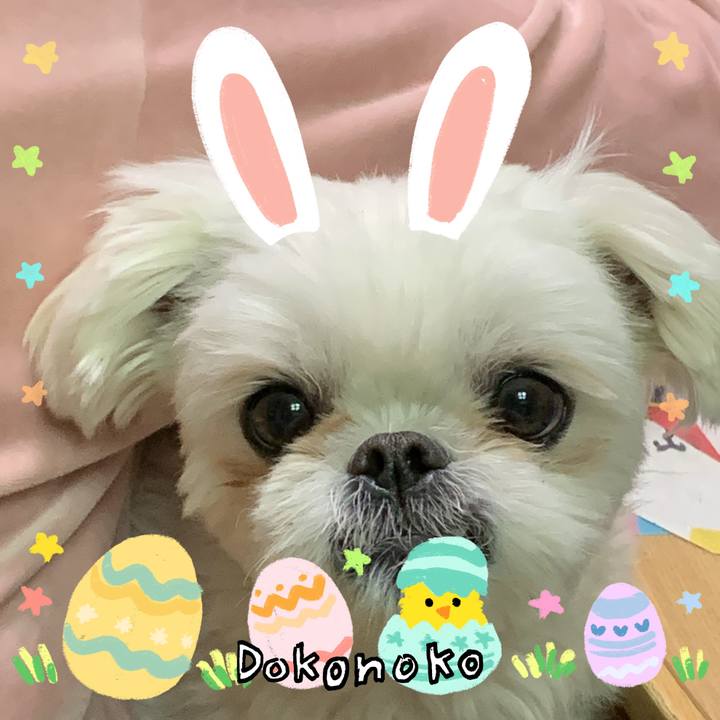 B2b7509b 6a53 4665 b568 5369d451277f 1712530146209