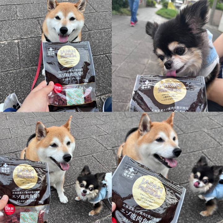 B2b7517b b399 461c b0c2 e2643ce61480 1688382154187