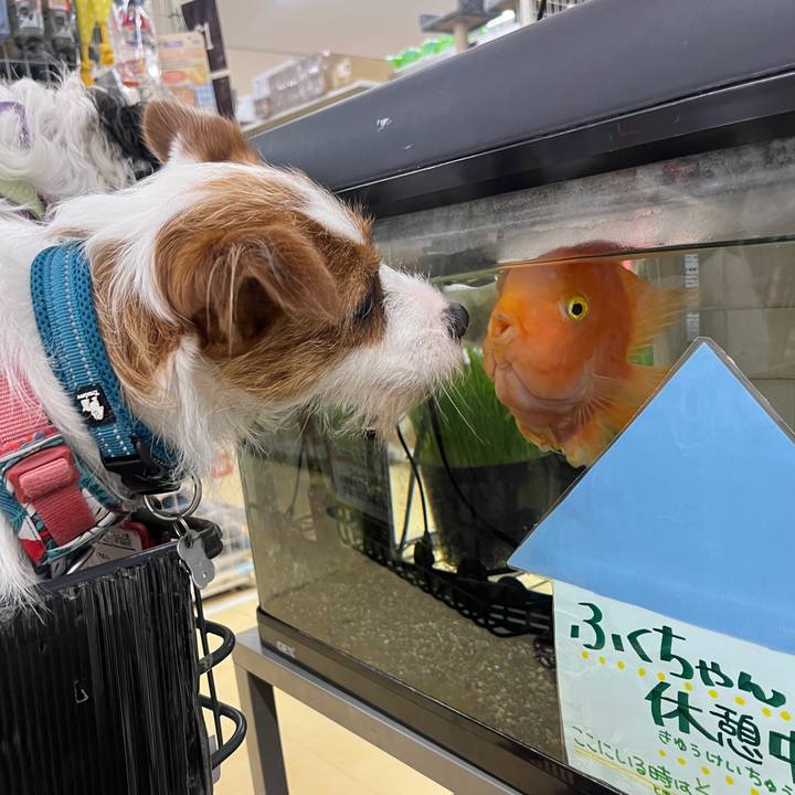 B2b76afe 07ba 4f7f 9c39 1aa60ed67f6f 1759558179169