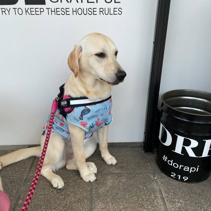 B2b7a548 8f05 41c6 893d 27ec4170ca60 1623923971633