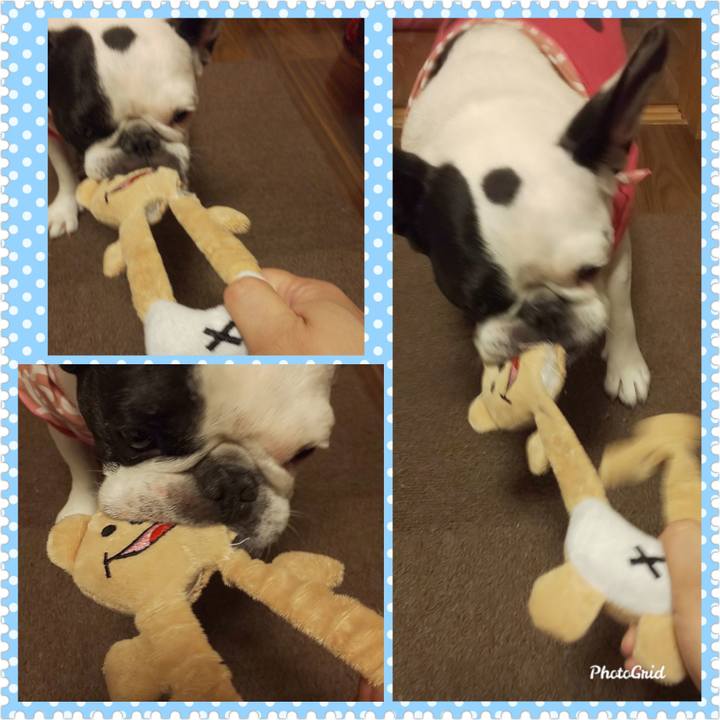 B2b7e72b c9ad 4914 a2ef d100ee1e63b0 1583569432006