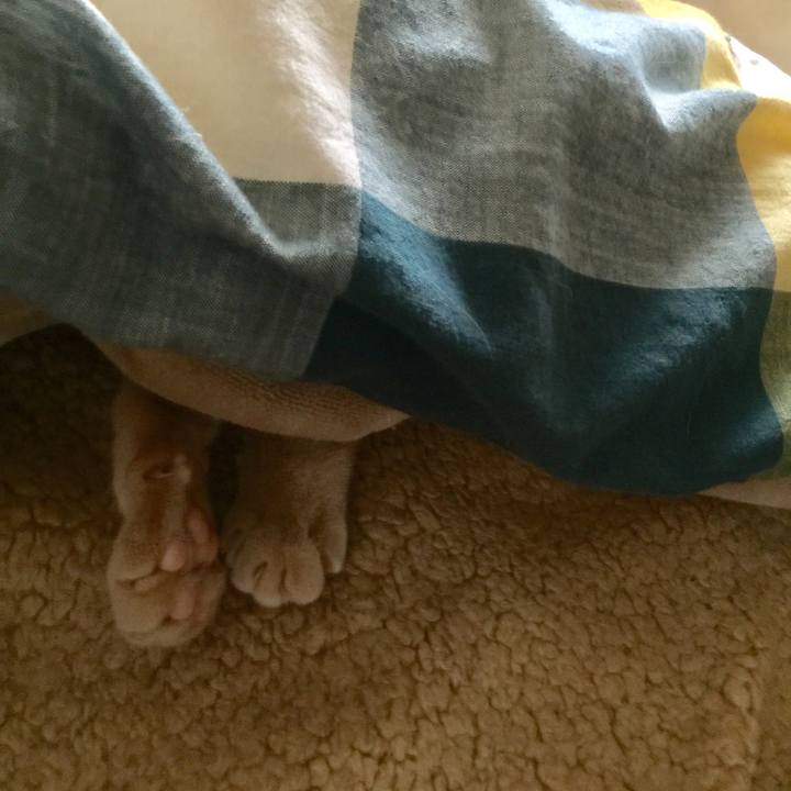 B2b7f616 377b 4d15 909c 59e3493cf85f 1615865111894