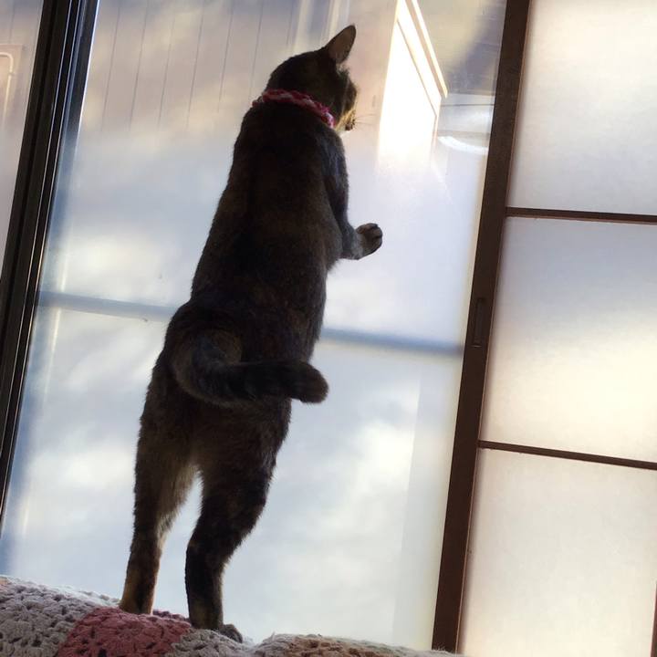 B2b8110f 6d01 435a 9eb1 eb902159a964 1606793150134