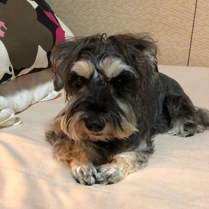 B2b85222 d47d 418d bd0d c66a1ccb5b74 1590331469158