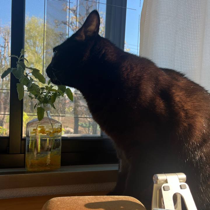 B2b85ca8 876d 46a1 b55b cb43011f832c 1763787520629