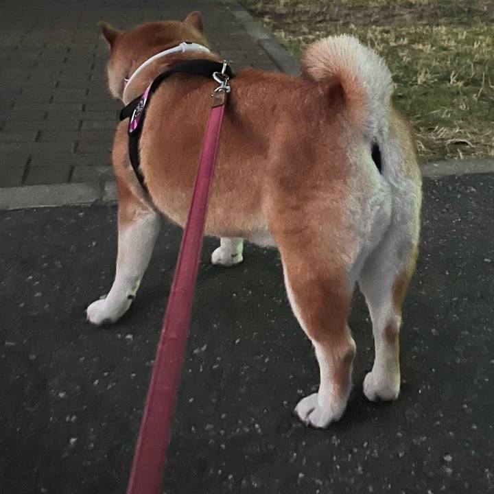 B2b88950 2948 418e abca f6bb31664abd 1690342402310