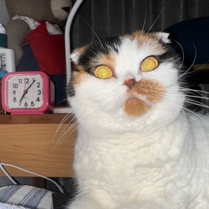 B2b8a7cc b37a 438d b24a de07b1adf37e 1702591965104