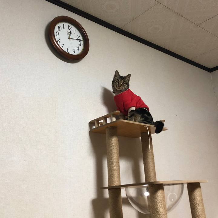 B2b8af5a 9274 4644 88a0 86427fbb6933 1740756211840