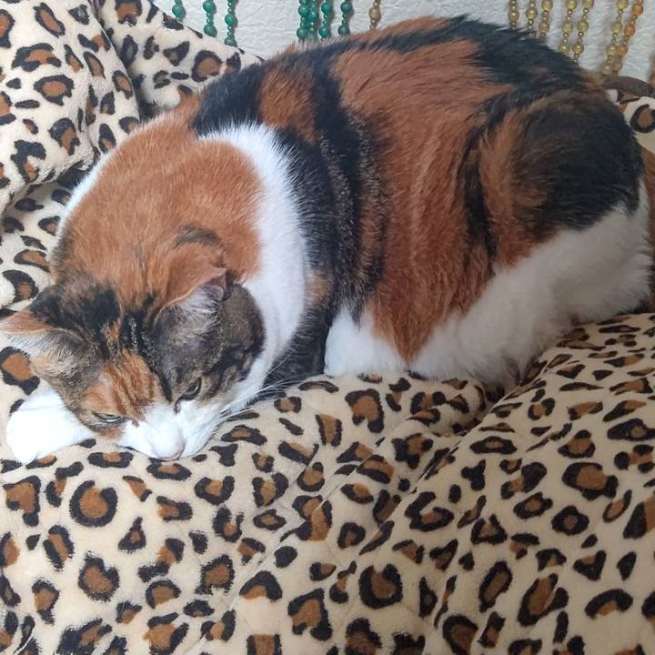 B2b8c80f d72c 4498 8b0c 0b4e6ec9d41b 1634766153557