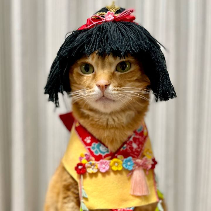 B2b8e4de 015f 4aae 9c71 8ef7241956ea 1645785948247