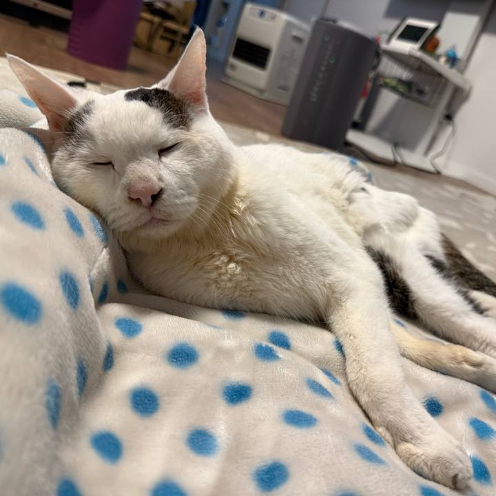 B2b8eb95 7704 43df a72b 2ebd88f2551b 1771144957691