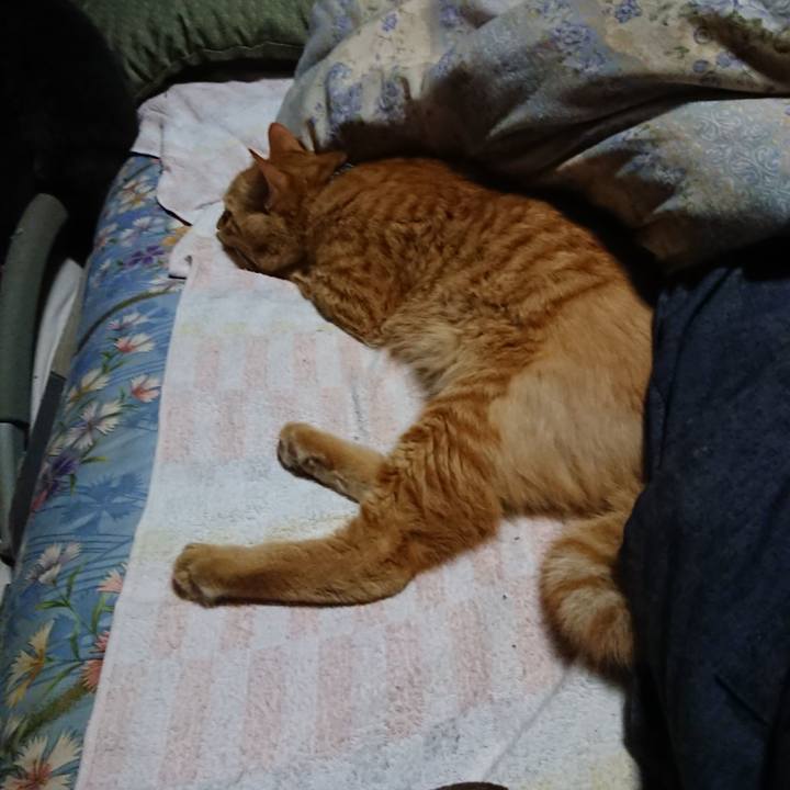 B2b8f2b2 92c9 49cd b24d 344fee507a56 1659787716740