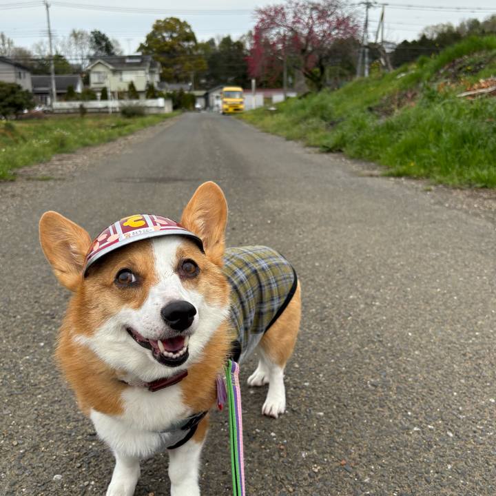 B2b91f9f 363a 4521 ab28 b3ec68a1c659 1775357395184